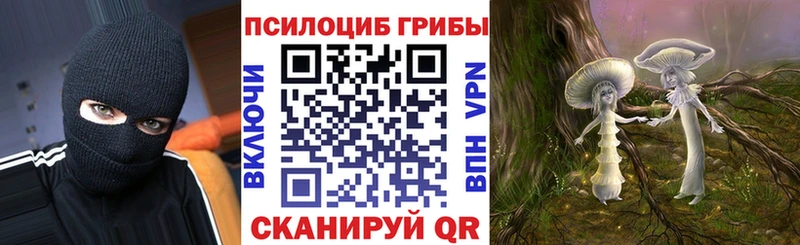 Галлюциногенные грибы Psilocybe  купить наркоту  Керчь 