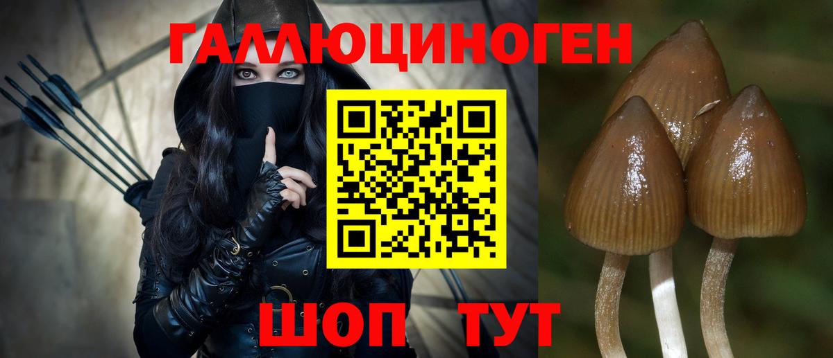 Псилоцибиновые грибы ЛСД  как найти закладки  Керчь  Вход с VPN 
